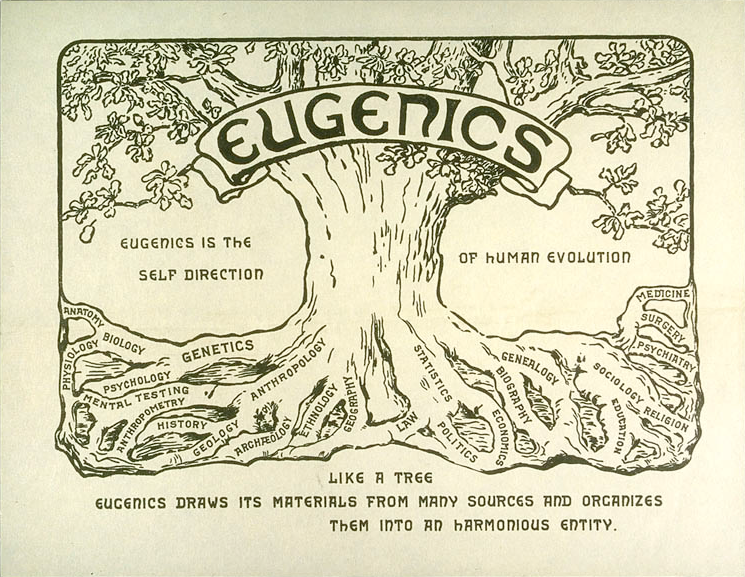 Would Eugenics Work? Simulating Positive Eugenics Targeting IQ