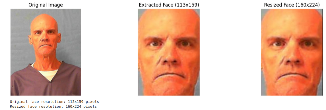 face_extraction_example