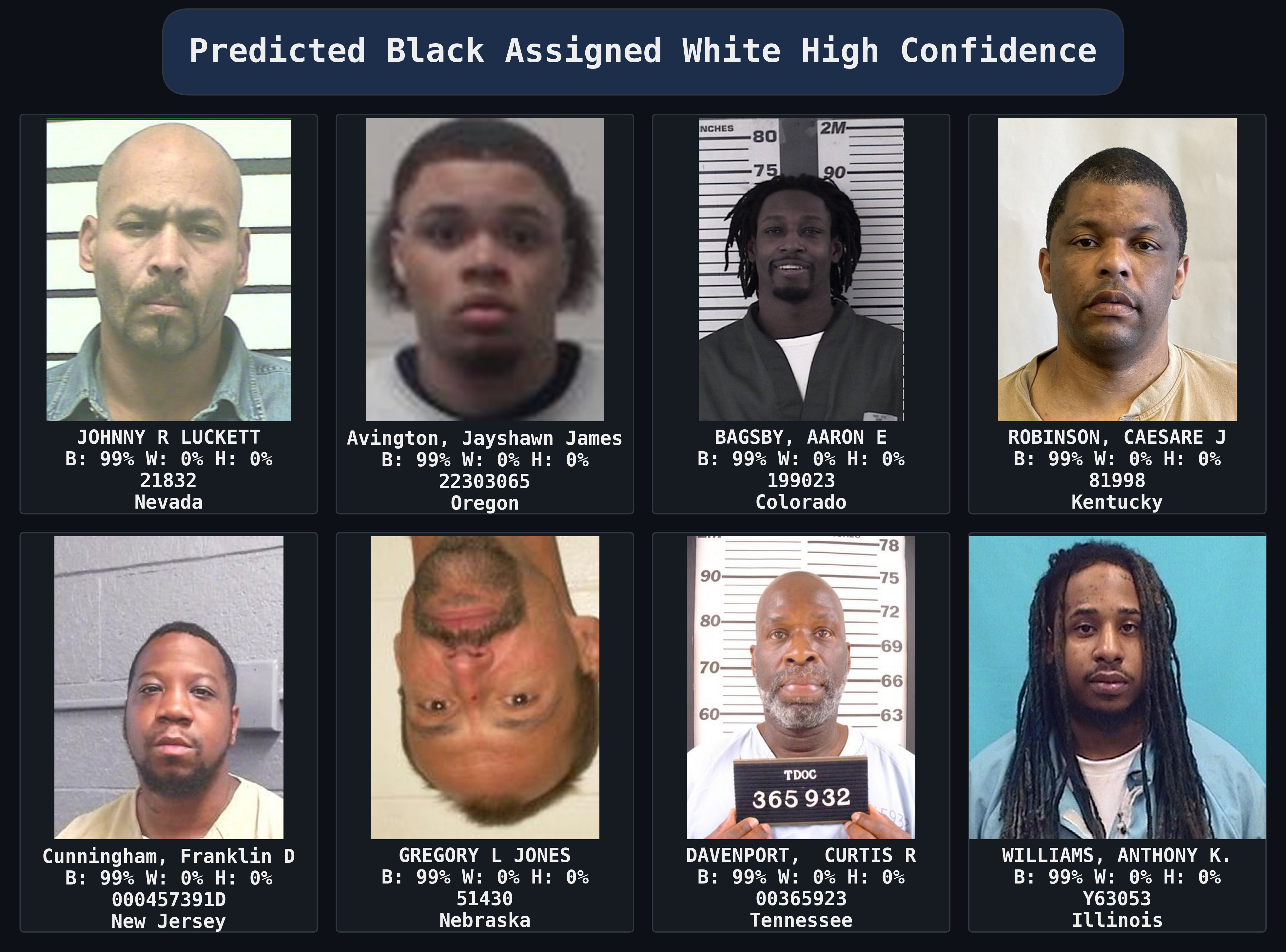 Predicted_Black_Assigned_White_High_Confidence_collage_dark