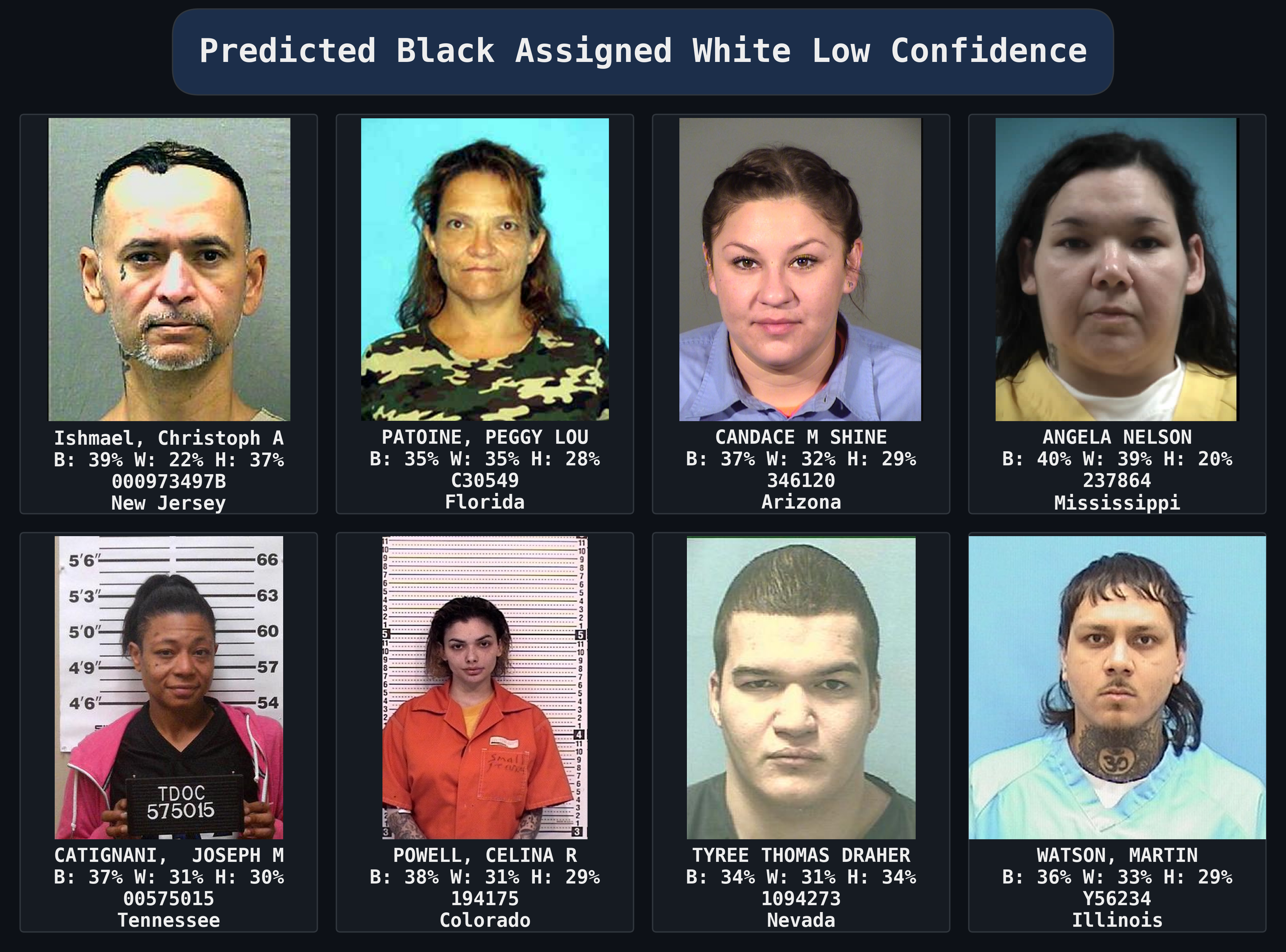 Predicted_Black_Assigned_White_Low_Confidence_collage_dark