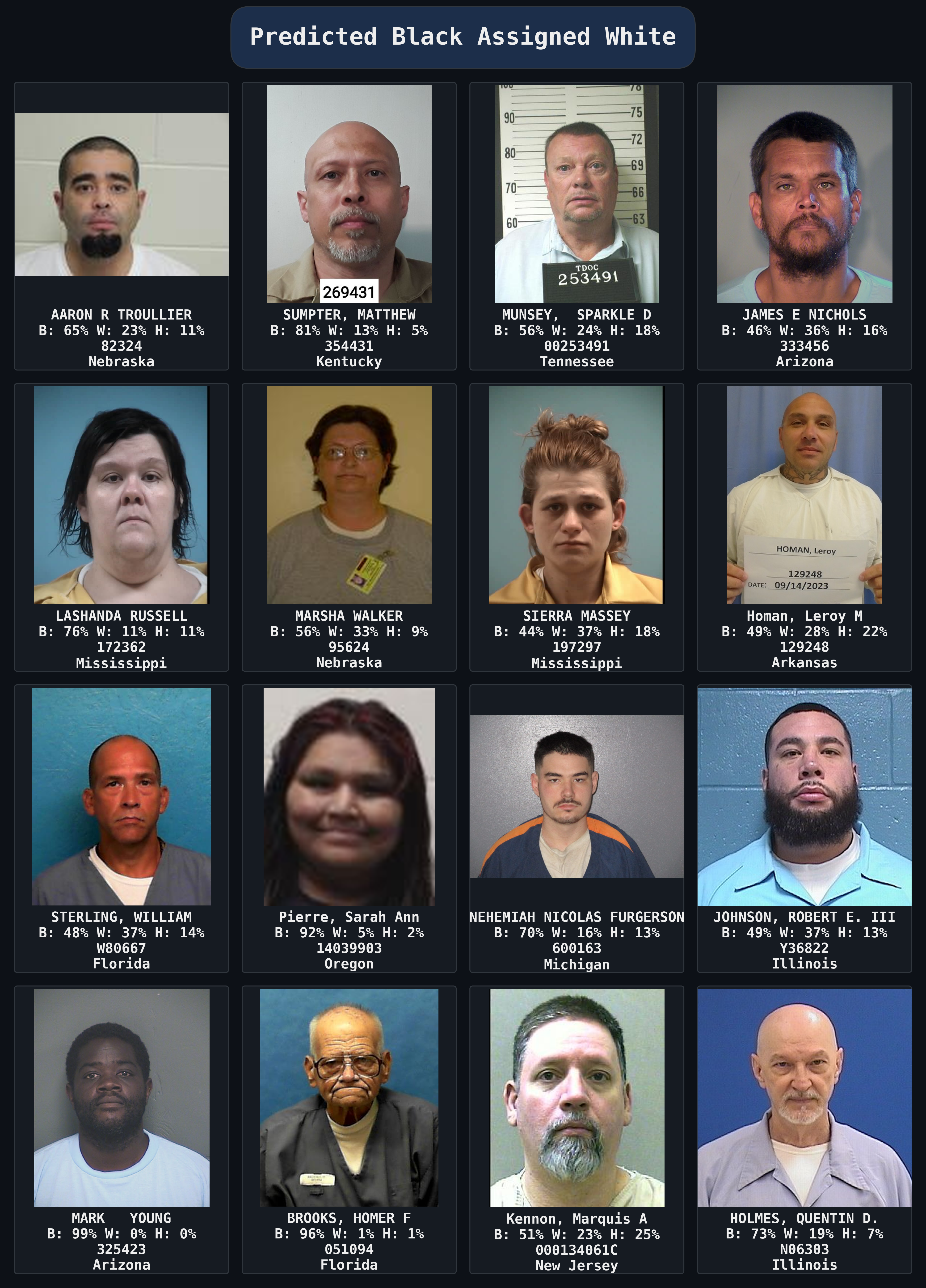 Predicted_Black_Assigned_White_collage_dark